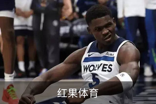 红果体育公司简介图片